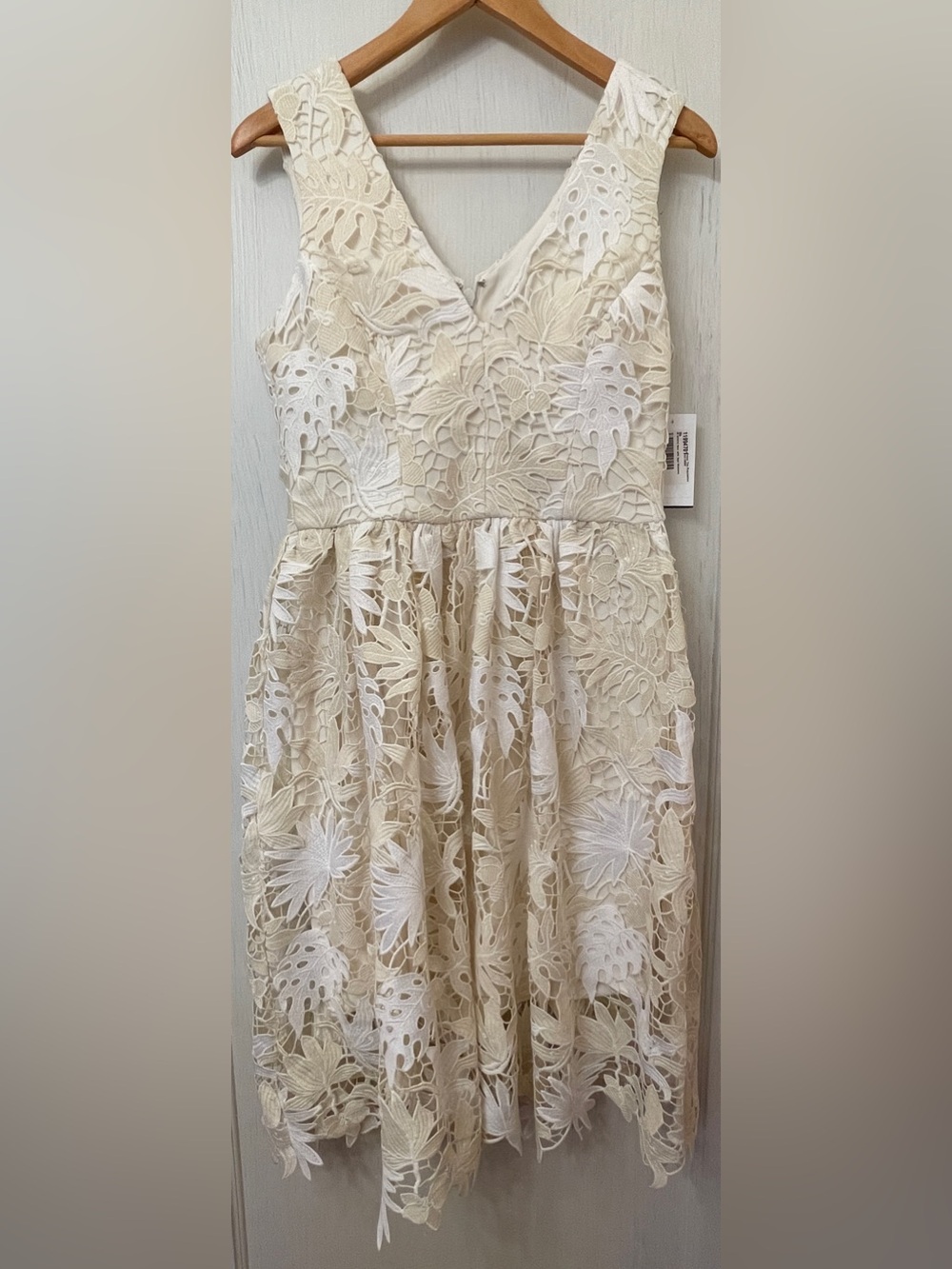 Dress the Population Ivory and White Floral Lace Fit-and-Flare Dress